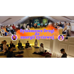 SYSTEMOWE DROGI DO ENERGII ŻYCIOWEJ